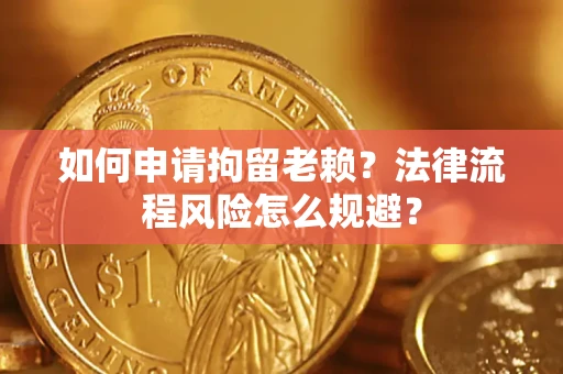 武汉如何申请拘留老赖？法律流程风险怎么规避？