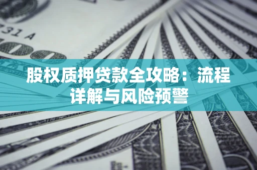 武汉股权质押贷款全攻略：流程详解与风险预警