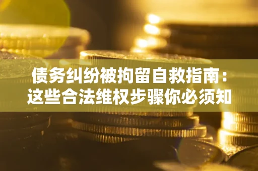 武汉债务纠纷被拘留自救指南：这些合法维权步骤你必须知道！