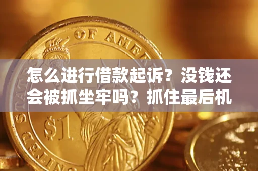 武汉怎么进行借款起诉？没钱还会被抓坐牢吗？抓住最后机会！