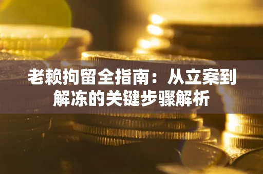 武汉老赖拘留全指南：从立案到解冻的关键步骤解析