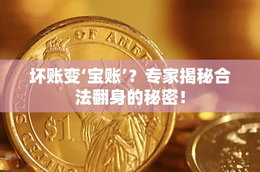 武汉坏账变‘宝账’？专家揭秘合法翻身的秘密！