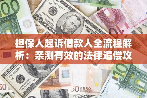 武汉担保人起诉借款人全流程解析：亲测有效的法律追偿攻略
