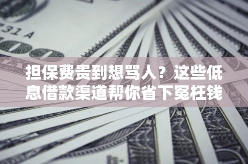 武汉担保费贵到想骂人？这些低息借款渠道帮你省下冤枉钱