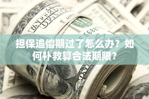 武汉担保追偿期过了怎么办？如何补救算合法期限？