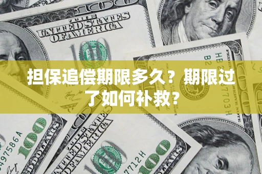 武汉担保追偿期限多久？期限过了如何补救？