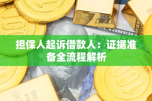 武汉担保人起诉借款人：证据准备全流程解析