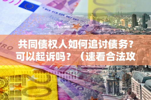 武汉共同债权人如何追讨债务？可以起诉吗？（速看合法攻略）
