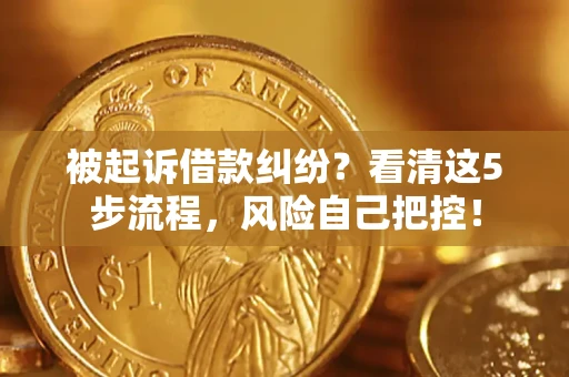 武汉被起诉借款纠纷？看清这5步流程，风险自己把控！