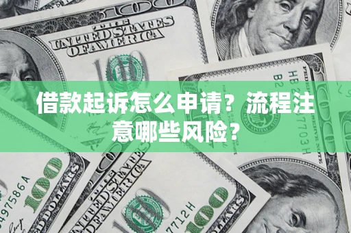 武汉借款起诉怎么申请？流程注意哪些风险？
